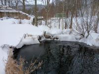 20250112_133515 (1024x768).jpg